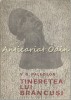 Tineretea lui Brancusi - V. G. Paleolog, Editura Tineretului, 1967, biografie, 228 pagini