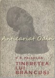 Cumpara ieftin Tineretea Lui Brancusi - V. G. Paleolog