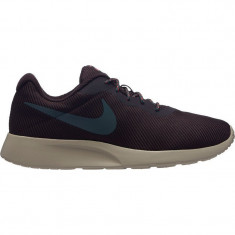 Pantofi sport Nike Tanjun AR1941-600 foto