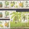 DB1 Flora Fructe 1981 Sao Tome &amp; Principe 6 v. x 2 ( dt. + ndt ) + SS MNH