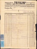 A1327 Factură cu antet Trifolino Cluj, producător de semințe, 1938