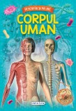 Descopar si ma joc Corpul Uman, Girasol, Joc Educativ cu Intrebari si Raspunsuri, 7+, Carte Ilustrata, 64 Pagini + 40 Carduri