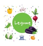 Legume - carte pliată - ***