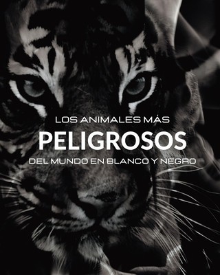 Los Animales M