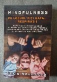 Carla Naumburg - Mindfulness: Pe locuri, fiți gata, respirați!