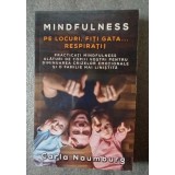 Carla Naumburg - Mindfulness: Pe locuri, fiți gata, respirați!