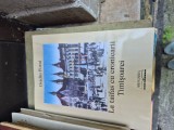 La taifas cu cronicarii Timișoarei vintage