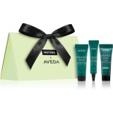 Beauty Discovery Bag Exclusive Notino &times; Aveda set cadou pentru femei
