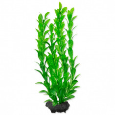 TETRA Plant Hygrophila M 23 cm