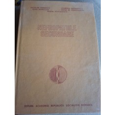 NEFROPATIILE SECUNDARE - NICOLAE MANESCU