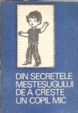 Din secretele mestesugului de a creste un copil mic - Maria Ursache