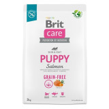 Cumpara ieftin Brit Care Dog Grain-Free Puppy, 3 kg