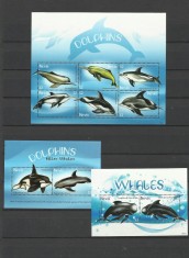 NEVIS 2009 FAUNA MARINI DELFINI SI BALENE foto
