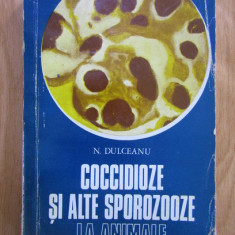 N. Dulceanu - Coccidioze si alte sporozooze la animale