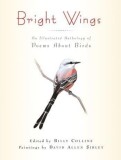 Brigh Bright Wings: An Illustrated Anthology of Poems about Birds