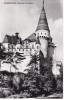 AS - ILUSTRATA 1174, HUNEDOARA - CASTELUL CORVINILOR, ANUL 1959, Circulata, Fotografie