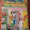 REVISTA PRACTIC IDEI PENTRU CASA GRADINA SI APARTAMENT 9 NUMERE