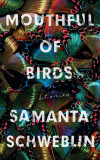 Mouthful of Birds | Samanta Schweblin, Oneworld Publications