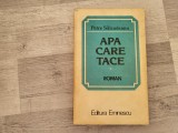 Apa care tace de Petre Salcudeanu