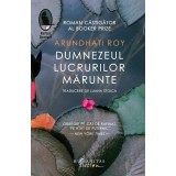 Dumnezeul lucrurilor mărunte - Paperback brosat - Arundhati Roy - Humanitas Fiction