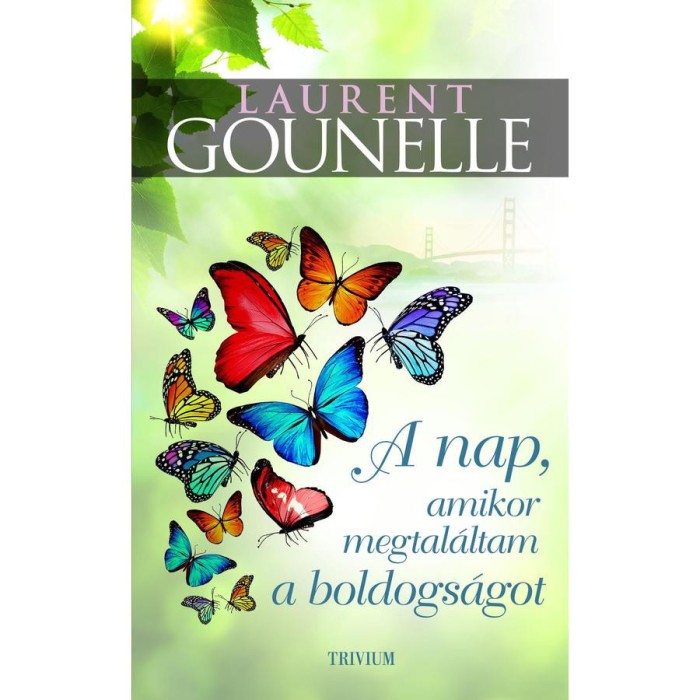 A nap, amikor megtal&aacute;ltam a boldogs&aacute;got - Laurent Gounelle