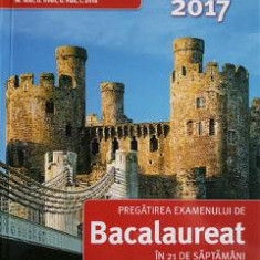 Bac 2017. Matematica M Tehnologic. Pregatirea examenului de Bacalaureat in 21 de saptamani