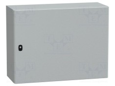 Carcasă montare pe perete SCHNEIDER ELECTRIC oţel gri 600mm x 800mm x 300mm
