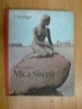 E0e Vasile Ileasa - Mica Sirena Copenhaga