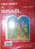 FEU VERT A ISRAEL