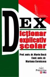 Dicționar explicativ școlar, Alexandru Andrei