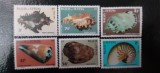 Wallis si Futuna-Fauna,fauna marina,cochilii-serie completa ,nestampilate MNH (C1), Nestampilat