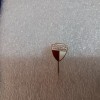 Insigna Medicina Timisoara