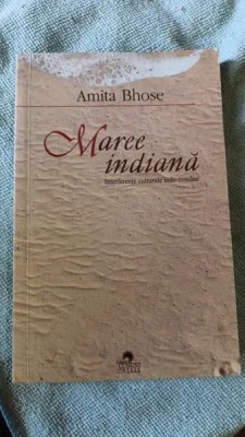 Amita Bhose - Maree indiană. Interferențe culturale indo-rom&amp;acirc;ne foto