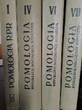 Pomologia- volume 1,4,6,7