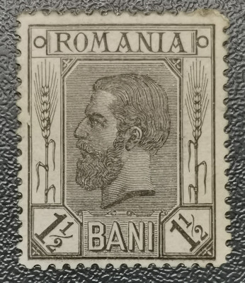 Rom&amp;acirc;nia Lp 51 Spic de gr&amp;acirc;u 1 1/2 bani nestampilat foto