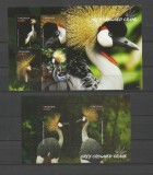 TANZANIA 2016 FAUNA PASARI COCORI