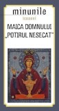 Minunile icoanei Maica Domnului - Potirul nesecat - Sophia