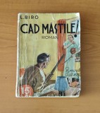 Cad măștile! - L. Biro (Colecția Romanele Captivante) Nr. 59