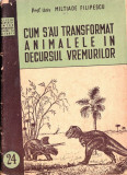 Cum s-au transformat animalele &icirc;n decursul vremurilor