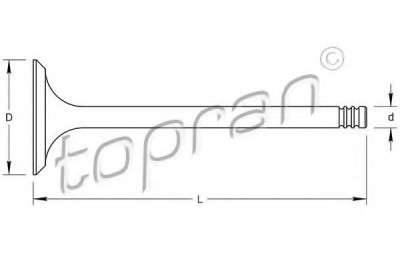 Supapa admisie VW TRANSPORTER IV bus (70XB, 70XC, 7DB, 7DW, 7DK) (1990 - 2003) TOPRAN 101 516 foto