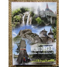 Hunedoara taram binecuvantat - Vasile-Cosmin Nicula