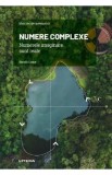 Mari idei ale matematicii. Numere complexe - Bartolo Luque