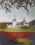 Muzeul Peles - Colectiv, Arta Grafica 1970, Carte Geografie, 59 pagini, Romana, Coperta Necartonata