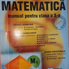 Matematica manual pentru clasa a X-a- Marius Burtea, Georgeta Burtea