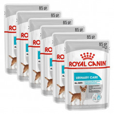 Royal Canin Dermacomfort Dog Loaf plicule? cu pate pentru caini cu probleme de rinichi 6 x 85 g, 5+1 GRATUIT foto