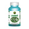 Leurda 60cps Hypericum, Hypericum Plant