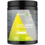 Colagen cu acid hialuronic pulbere vanilie 600gr, Adams Vision