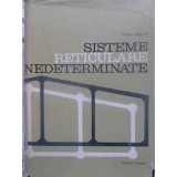 SISTEME RETICULARE NEDETERMINATE-RADU AGENT-231448