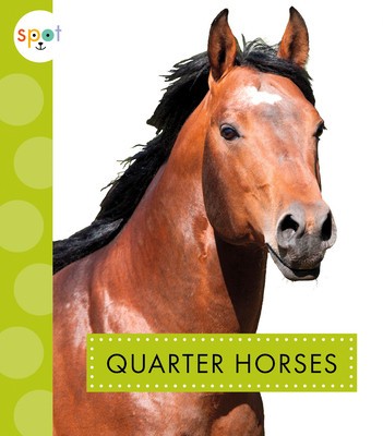 Quarter Horses foto