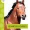 Quarter Horses